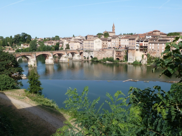 Albi