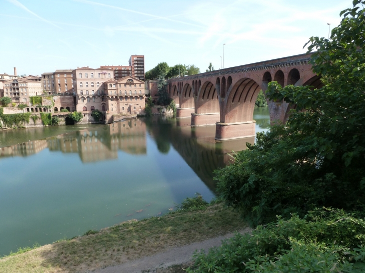 Albi