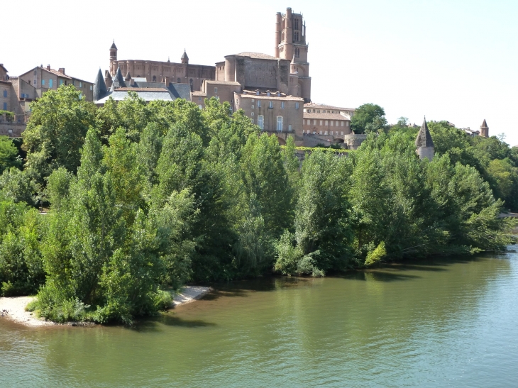 Albi