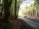 Photo suivante de Anglès Anglès (81260)  la forêt de Salavert.