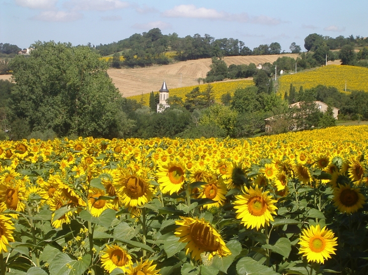 L'église d'Appelle en été