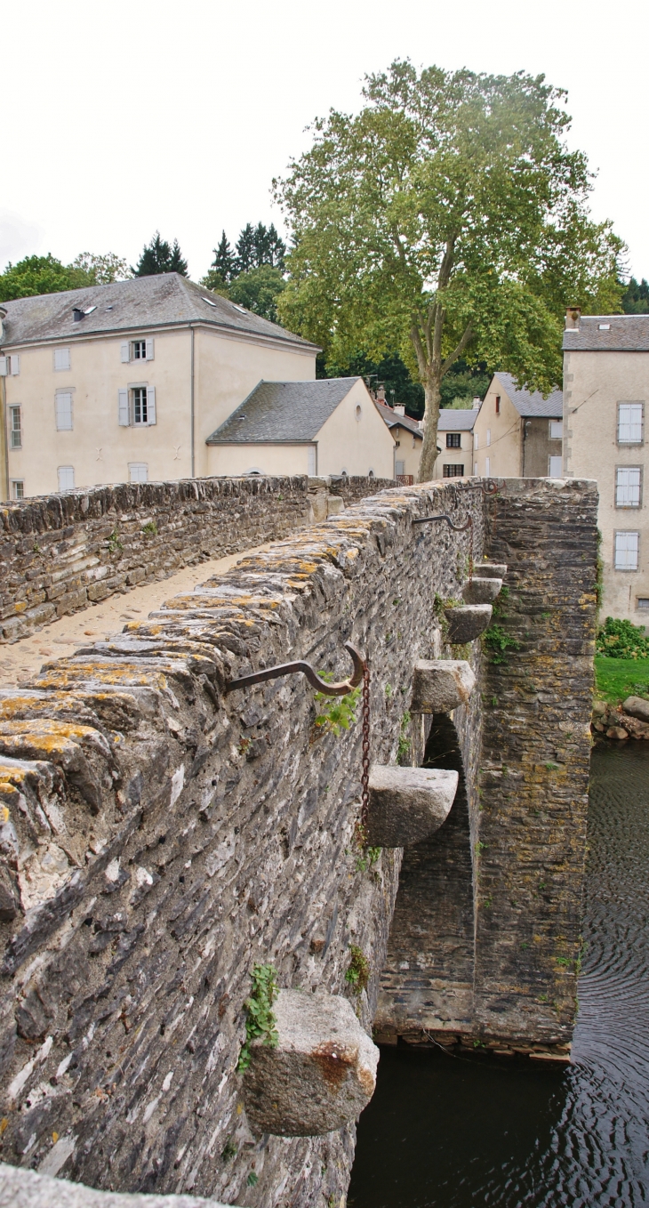 Pont-Vieux 12 Em Siècle ( Sur L'Agout ) - Brassac