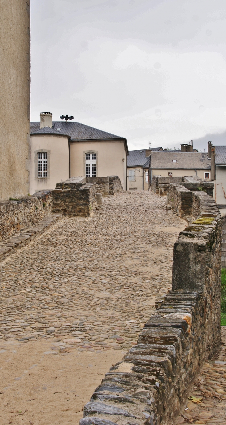 Pont-Vieux 12 Em Siècle ( Sur L'Agout ) - Brassac