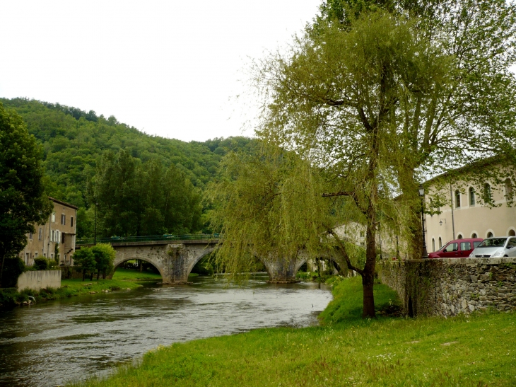 Les rives de l'Agout - Burlats