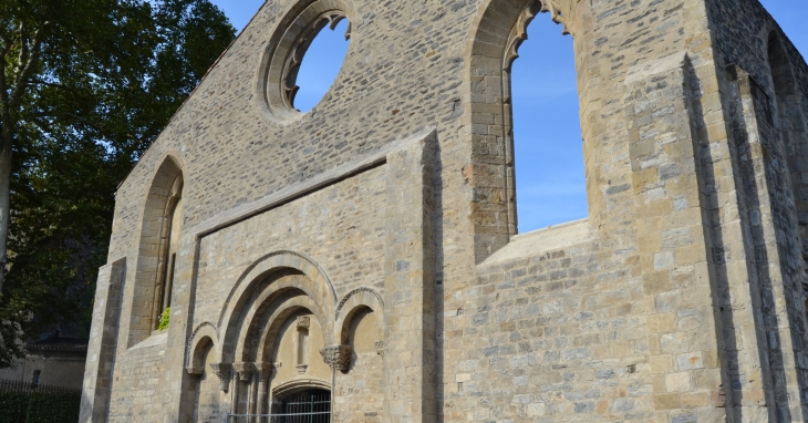 Ruines de La Collégiale Saint-Pierre ( 12 Em Siècle ) - Burlats