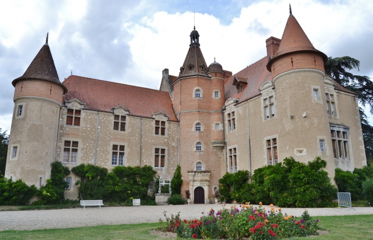   Château de la Serre - Cambounet-sur-le-Sor