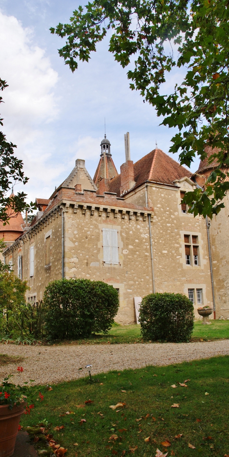   Château de la Serre - Cambounet-sur-le-Sor