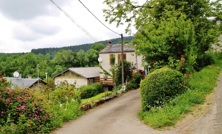 Le Village - Castelnau-de-Brassac