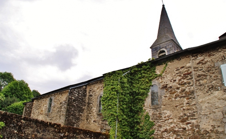   église Saint-Louis - Castelnau-de-Brassac