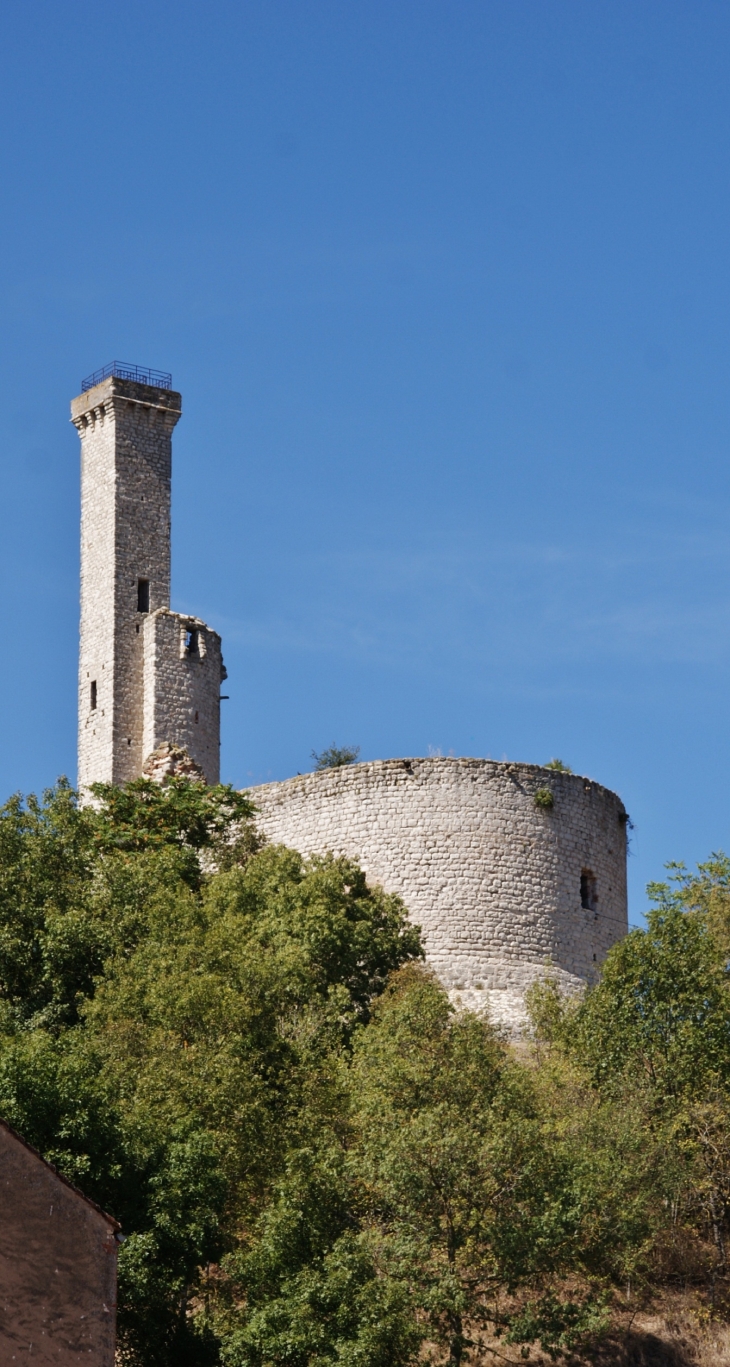 Ruines du Château de Castelnau-de-Lévis