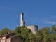 Photo précédente de Castelnau-de-Lévis Ruines du Château de Castelnau-de-Lévis