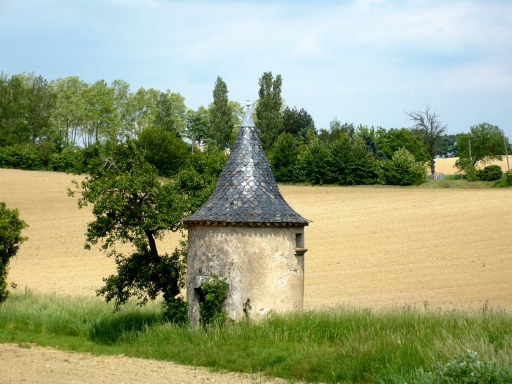 Ancien pigeonnier - Castres