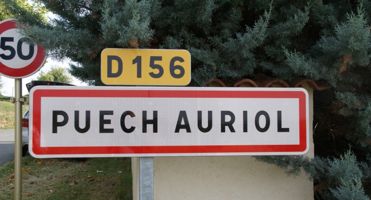 Puech-Auriol commune de Castres