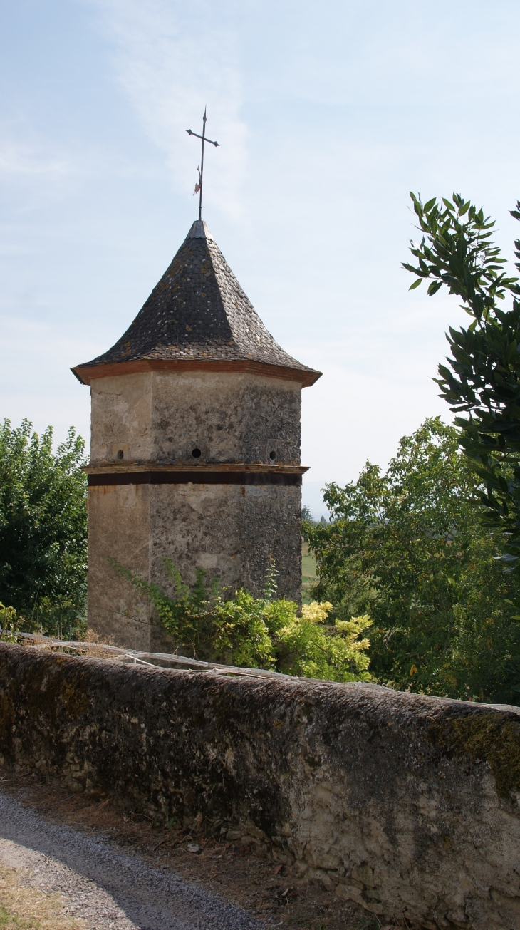 Puech-auriol-commune-de-castres ( Pigeonnier )