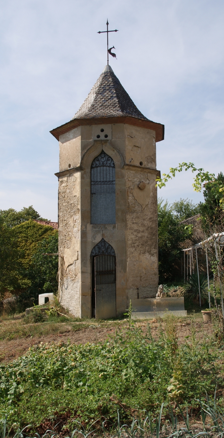 Puech-auriol-commune-de-castres ( Pigeonnier )