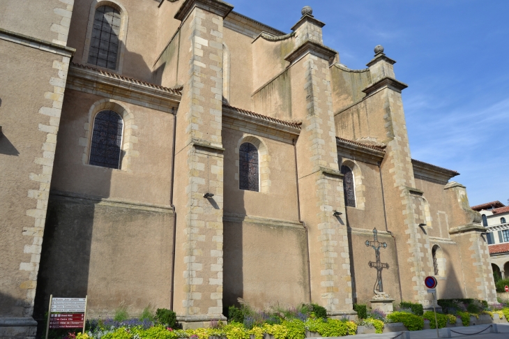 Cathédrale Saint-Benoit - Castres