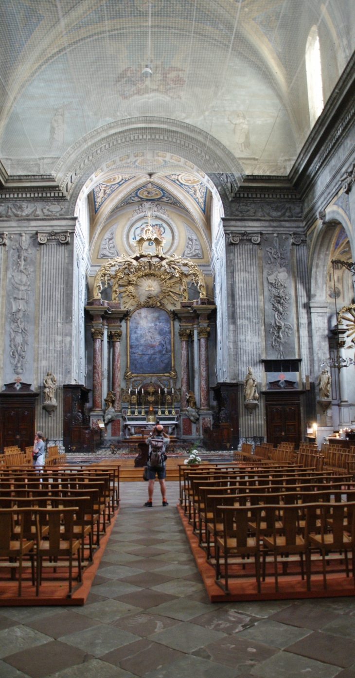 Cathédrale Saint-Benoit - Castres