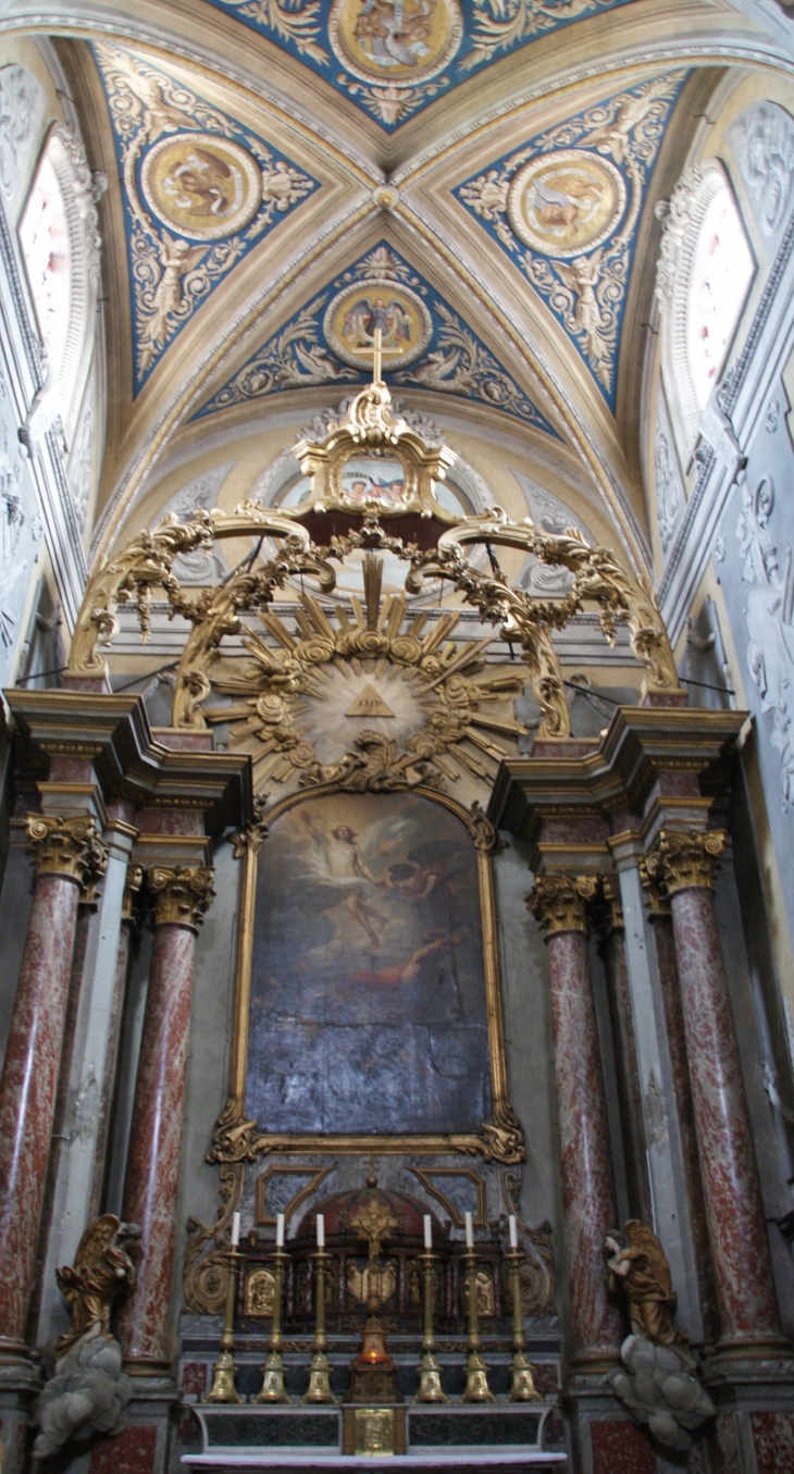 Cathédrale Saint-Benoit - Castres