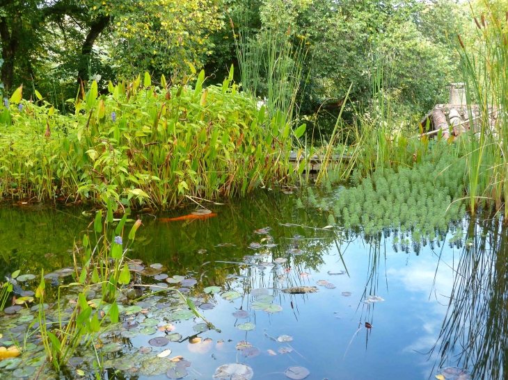 Au Jardin des Paradis - Cordes-sur-Ciel