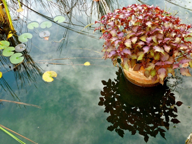 Au Jardin des Paradis - Cordes-sur-Ciel