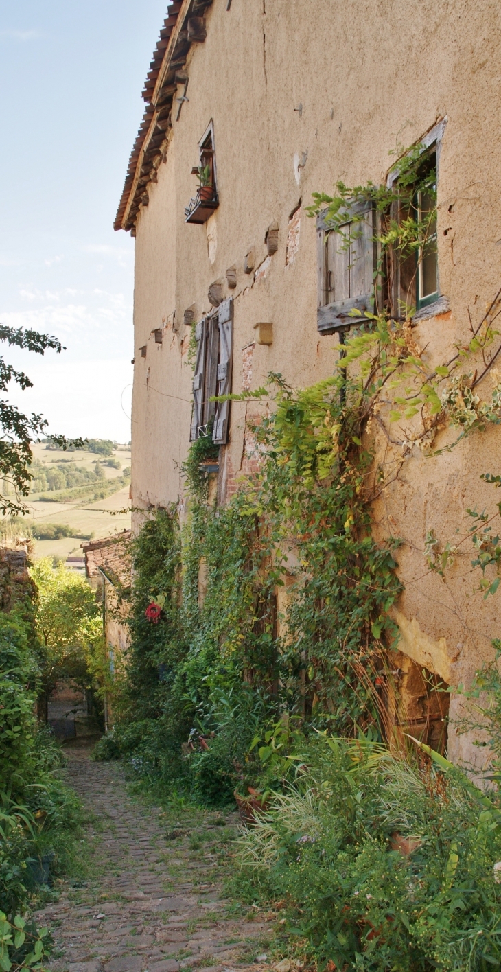  - Cordes-sur-Ciel