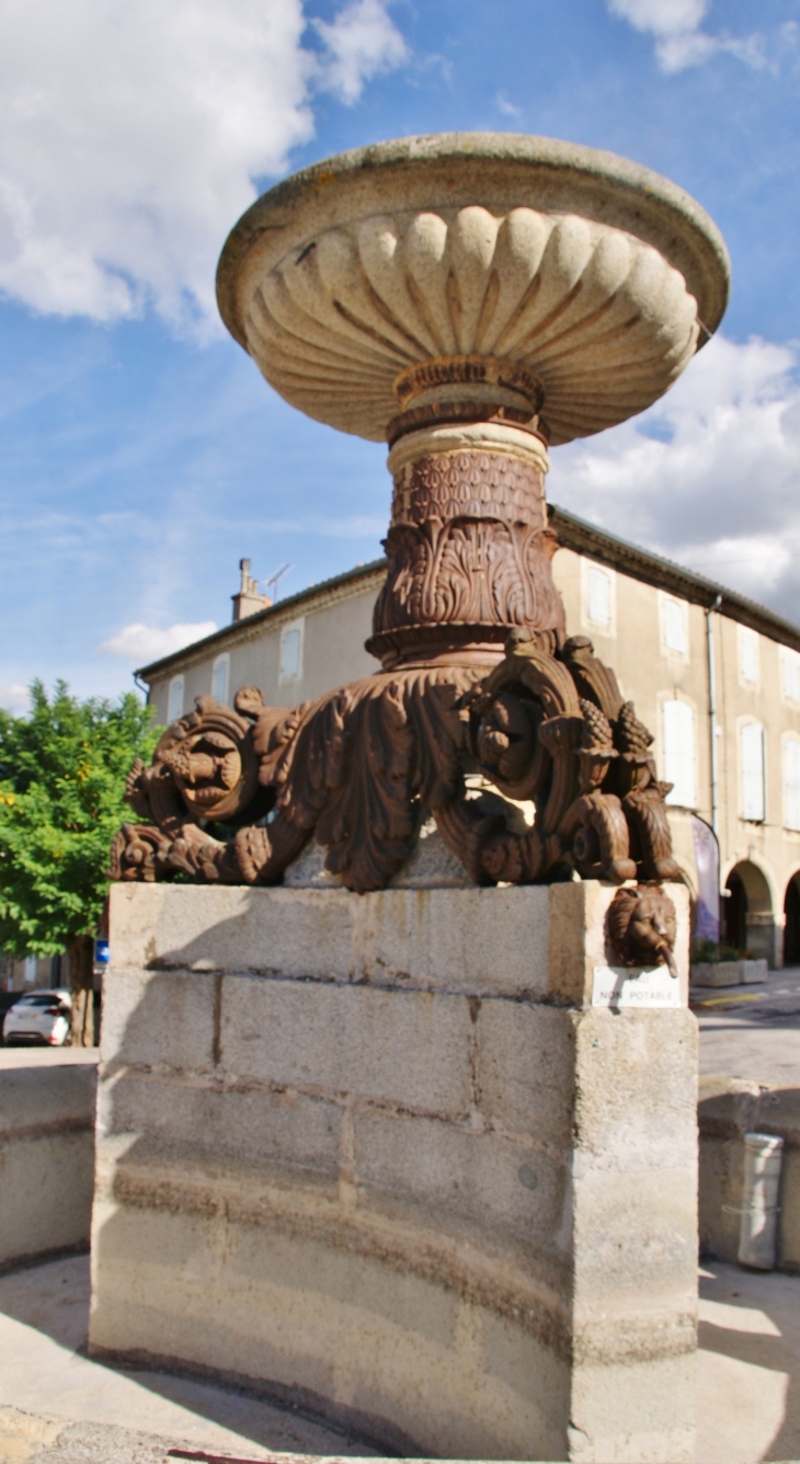 Fontaine - Dourgne