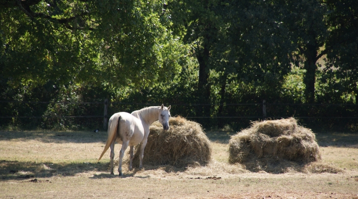  - Gaillac