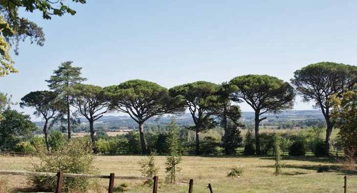 Château de Saurs ( Producteur de Vin BIO ) Le Parc du Château - Gaillac