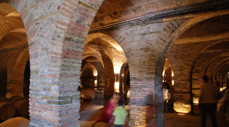 Château de Saurs ( Producteur de Vin BIO ) Les Caves - Gaillac