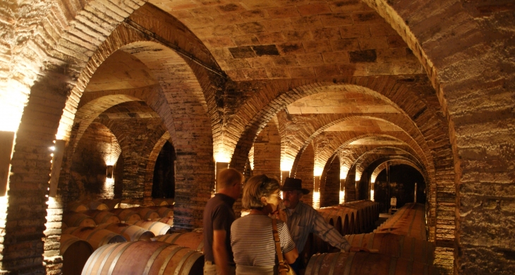 Château de Saurs ( Producteur de Vin BIO ) Les Caves - Gaillac