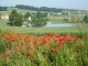 la campagne à Aussac