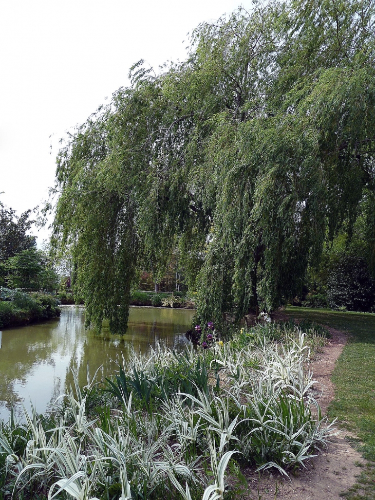 Le jardin des Martels - Giroussens