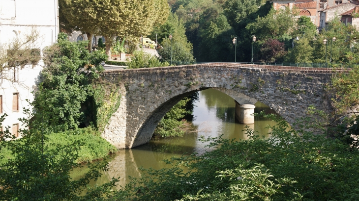 Pont-vieux-sur-le-dadou ( 13 Em Siècle ) - Graulhet