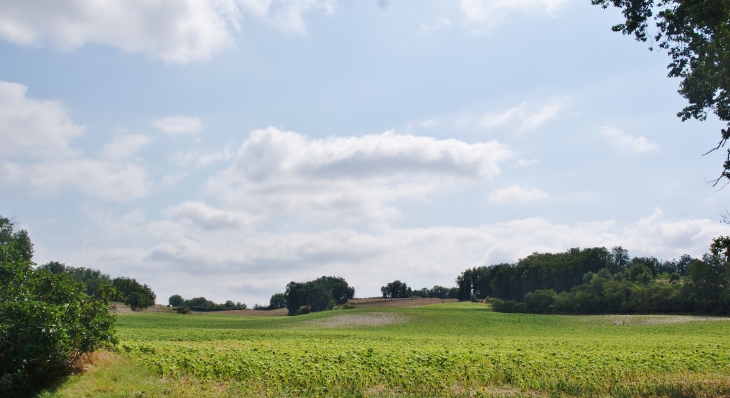 Saint-Memy ( commune de Graulhet )