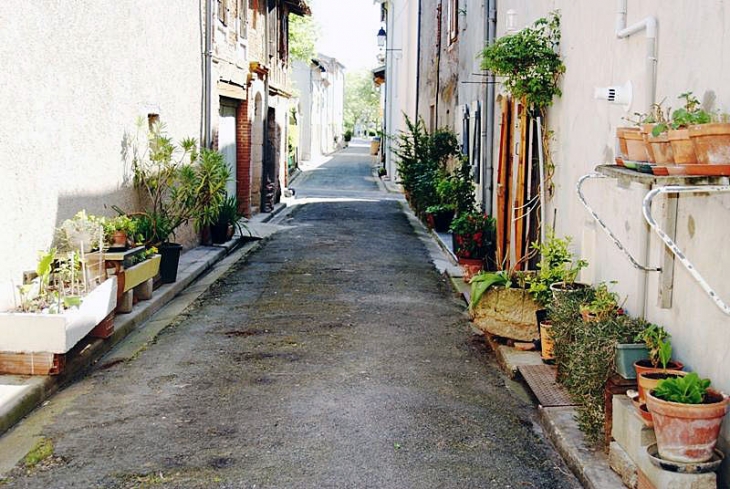 Ruelle - Labastide-de-Lévis