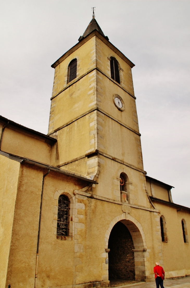 ++église Notre-Dame - Lacaune