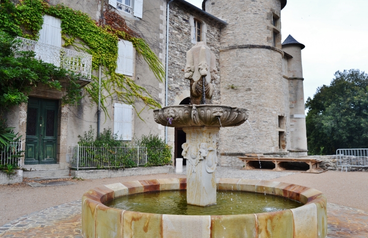 -Château de Lacaze et la Fontaine