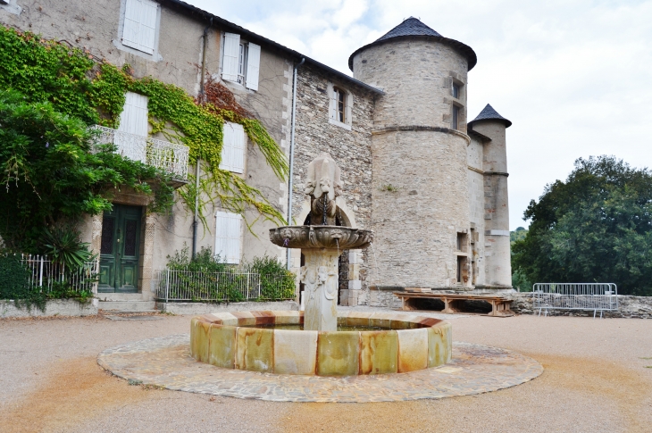 -Château de Lacaze et la Fontaine