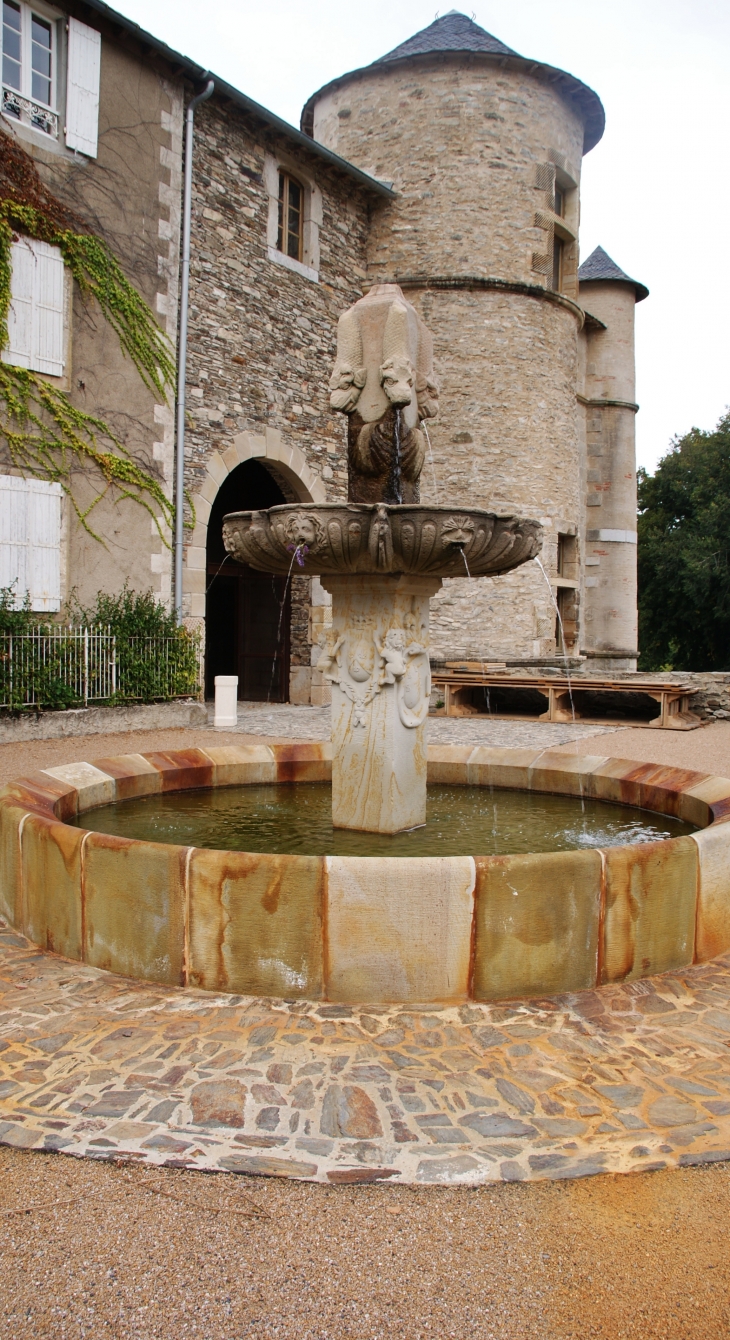 -Château de Lacaze et la Fontaine