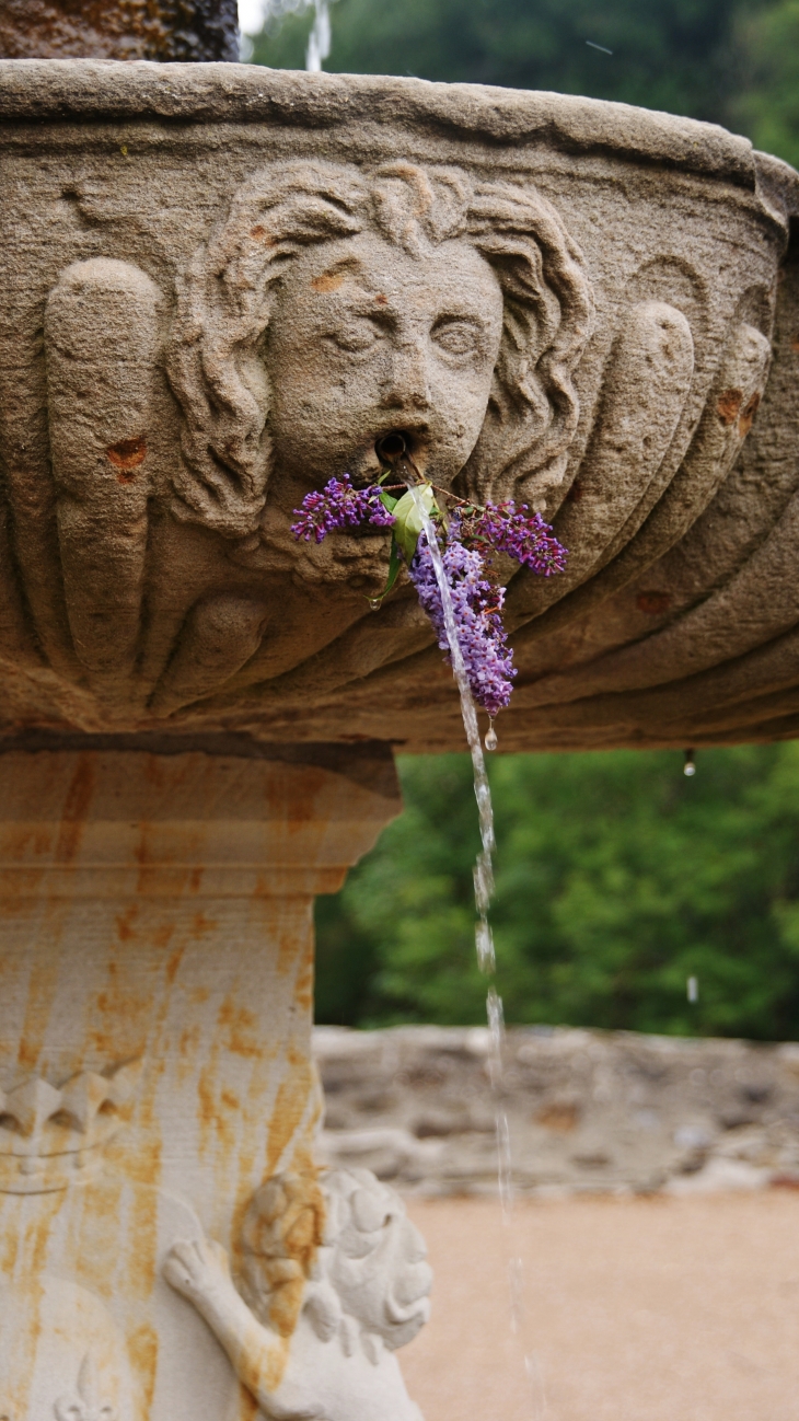 .La Fontaine ( Détail ) - Lacaze