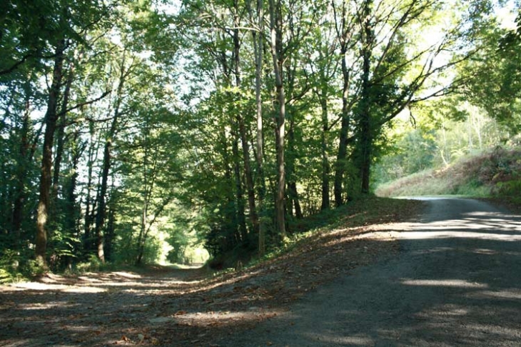 Environs du village - Lacaze