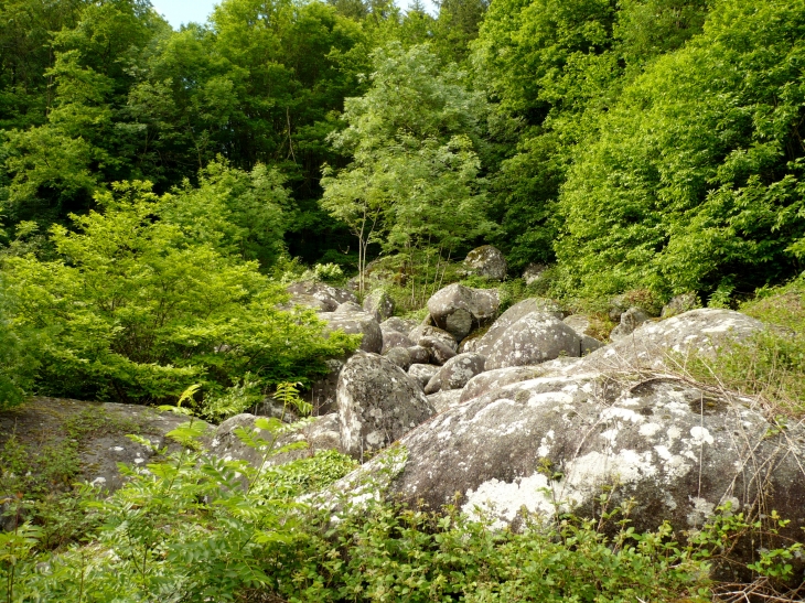 Les Rocs de Crémaussel - Lacrouzette