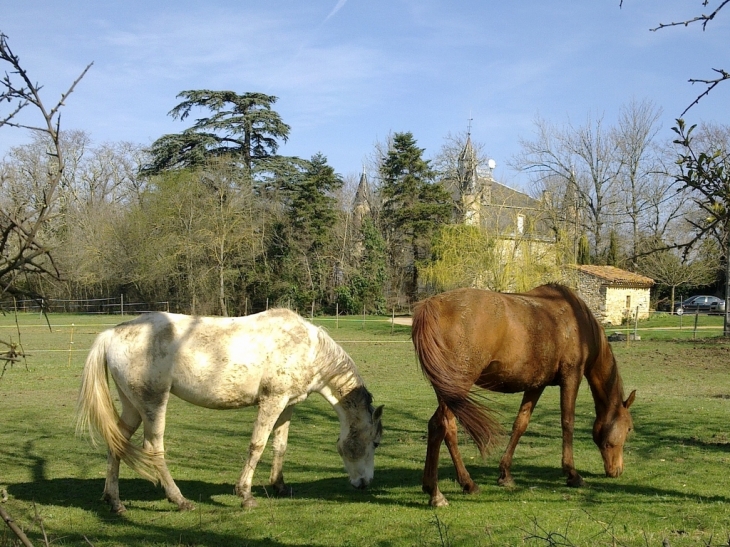 La campagne environnante - Lagarrigue