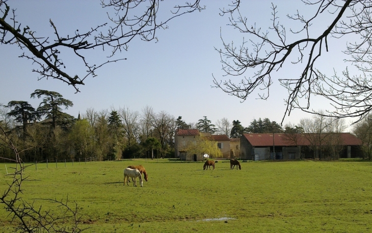 Alentours de Lagarrigue