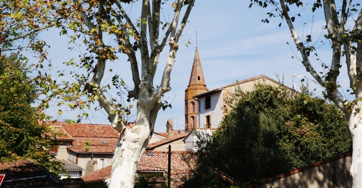 &église Saint-François - Lavaur