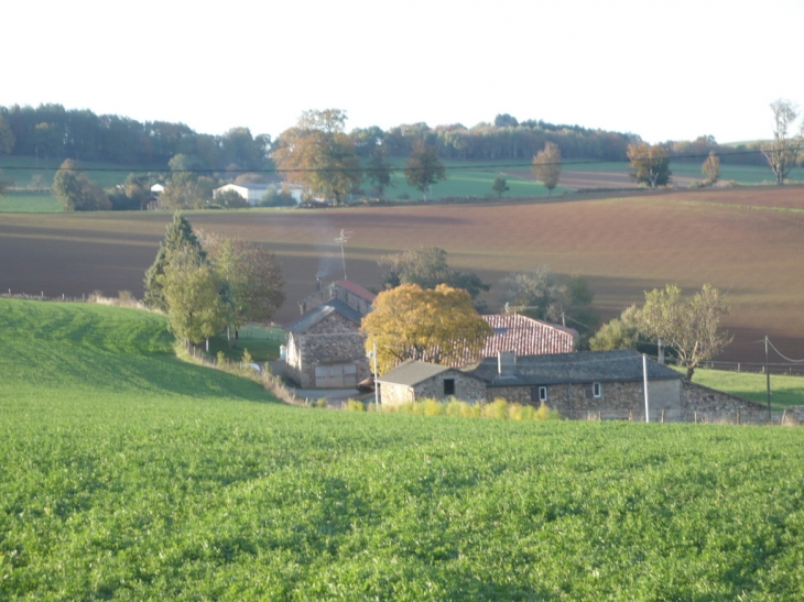 Le hameau Le Fourcandié - Le Fraysse