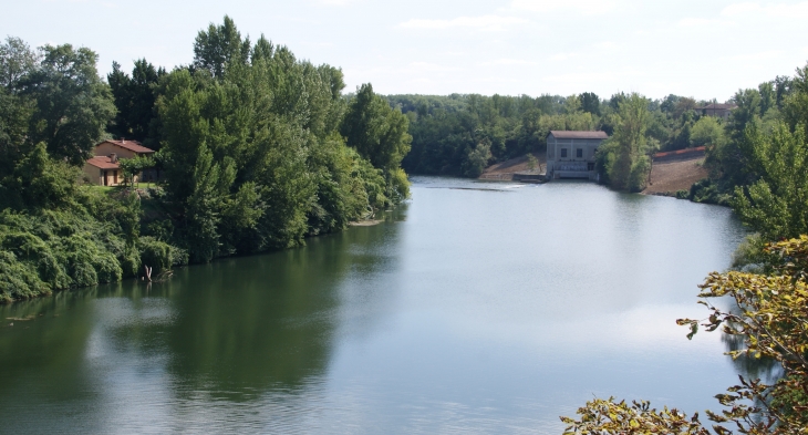 Le Tarn - Lisle-sur-Tarn