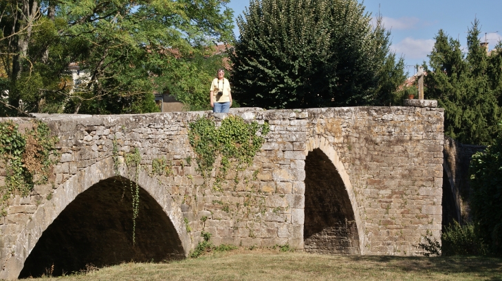 Pont de Candéze 12/13 Em Siècle - Monestiés