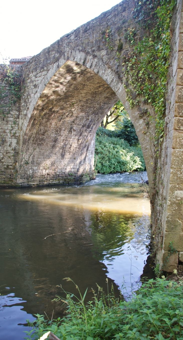 Pont de Candéze 12/13 Em Siècle - Monestiés