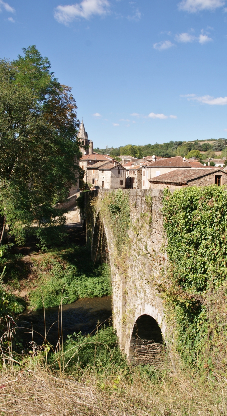 Pont de Candéze 12/13 Em Siècle - Monestiés